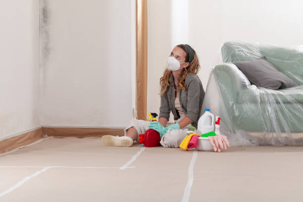 Reliable Mold Inspection And Testing contractor in Windsor, VA by Mold Remediation HQ